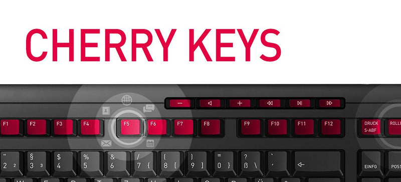 Cherry G84-4100 Compact-Keyboard Black 86 Key